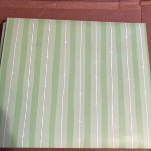 Green Striped 6x6 scrapbook.  There are some pre-made pages that can be removed.